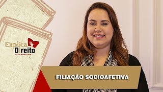 Explica Direito Filiação Socioafetiva  2019 [upl. by Marcus]