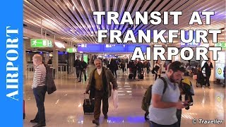 TRANSIT WALK AT FRANKFURT Airport FRA Terminal 1  Connection Flight Transfer Arriving amp Departing [upl. by Sedgewinn]